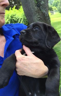 a woman holding a black puppy up to her chest in front of a tree and grass area