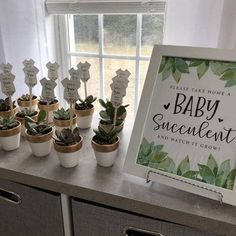 baby succulents are displayed in small pots on a table next to a window