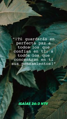 a green leafy plant with the words, i'm guadalajaras en todos los