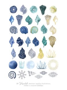 an illustration of various sea shells and starfishs