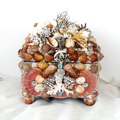 a box filled with seashells and shells