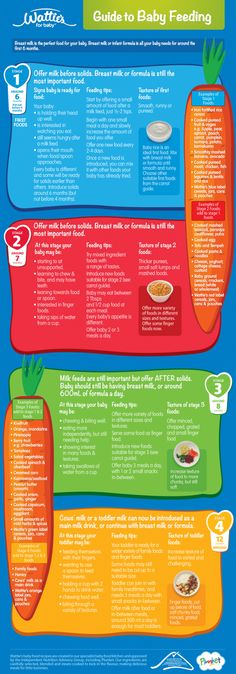 the ultimate guide to baby feeding info sheet