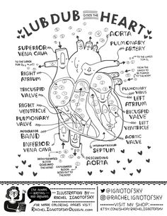 a poster with an image of the human heart