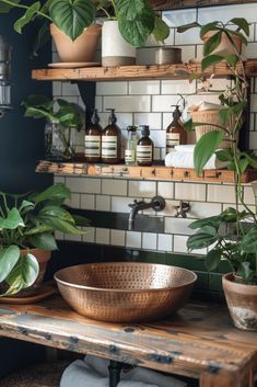 some plants are sitting on shelves in the bathroom