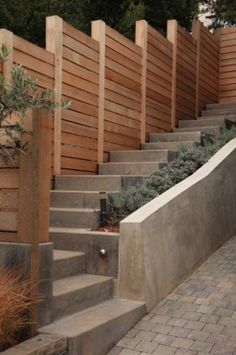 some concrete steps with plants and bushes on the other side, in front of a wooden fence