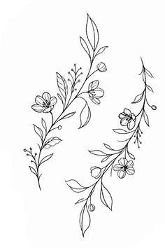 a drawing of flowers and leaves on a white background