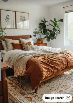 a bed sitting in a bedroom next to a window with potted plants on it