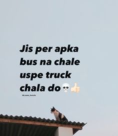 a black and white cat sitting on top of a roof next to a sky background