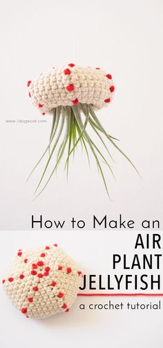 two crocheted air plants with text overlay that says how to make an air plant jellyfish