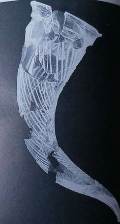 a drawing of a fish skeleton on a black paper with white ink and watercolor pencils