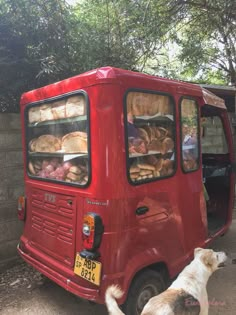 a dog standing next to a red van with food in it's back door