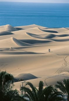 two people are standing in the sand dunes