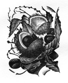 a black and white drawing of a bee on a leafy branch with leaves around it