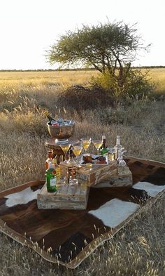 two trays filled with drinks sitting on top of a cow skin rug in the middle of a field