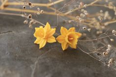 A lovely pair of vibrantly fresh daffodils.  Can do nothing other than bring a Big smile on ones face :) The earrings are beautiful and petite. Still very sturdy. CARE- These earrings are pieces of art and must be handled with care- * To clean your earrings gently dab with damp tissue. * The earrings are water proof but not meant to be worn while taking a shower or swimming. * After you're done wearing your earrings gently pack them away in their own separate box, away from other sharp metal jewelry, as these can cause scratches on the surface of your earrings. * The earrings have a slight flex to them, this is to give them durability if they ever fall, try never bending them as they might snap at some point if bent in the wrong way. SHIPPING - I try to ship my orders as soon as possible, Clay Daffodil, Succulent Jewelry, White Flower Earring, 60s Hippie, Tiny White Flowers, Miniature Food Jewelry, Daisy Studs, Yellow Daffodils, Food Earrings