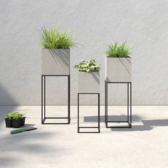 three black planters with plants in them against a white wall, one is holding grass and the other two are standing upright