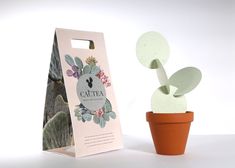 a cactus in a pot next to a paper bag with the word cacti on it