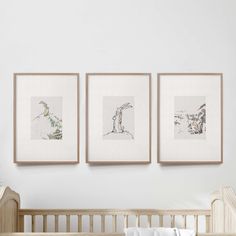 three framed pictures hang on the wall above a crib