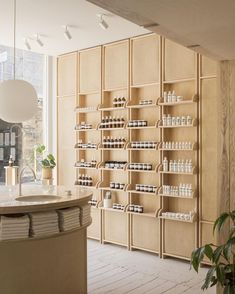 a store with shelves filled with lots of bottles and containers next to a potted plant