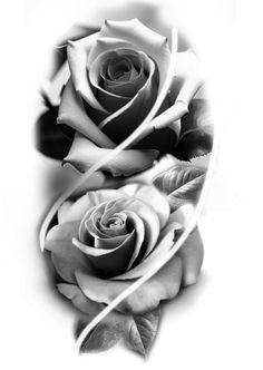 black and white photograph of two roses