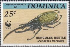 a postage stamp with an image of a beetle