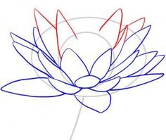 how to draw a lotus flower with colored pencils