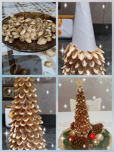 there are four different types of christmas trees made out of shells and pineconis