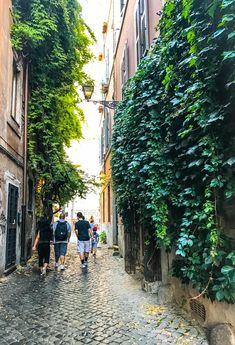 three people walking down an alley way with ivy growing on the walls and brick pavement