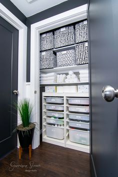 an organized closet with baskets and bins on the shelves next to a door that has a potted plant in it