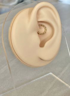 an ear with a ring on top of it in a clear plastic display case,