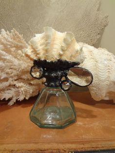 a glass vase sitting on top of a wooden table next to some corals and sea shells