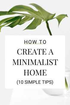 a plant with the words how to create a minimalist home 10 simple tips