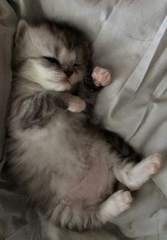 a gray and white cat laying on top of a bed next to a pillow covered in sheets