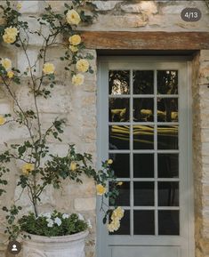 a potted plant sitting next to a window on the side of a stone building