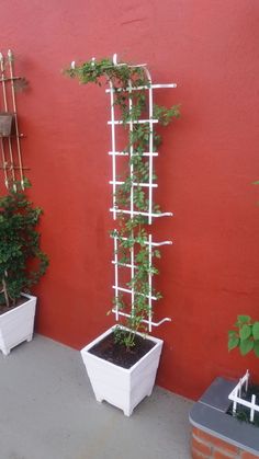 two white planters with plants growing on them next to a red wall and fence