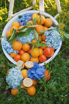 a bowl filled with oranges and blue flowers