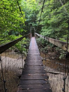 a wooden suspension bridge in the middle of a forest with lots of trees on both sides