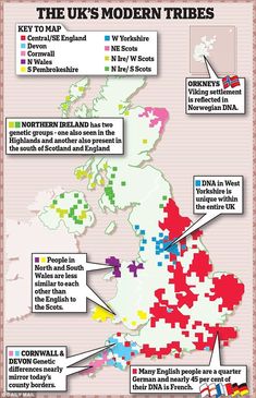 the uk's modern trees are shown in red, white and green colors with arrows pointing