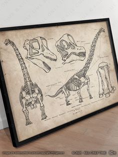 a framed drawing of dinosaurs and their skeletons