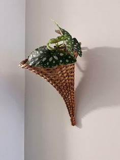 a plant in a wicker basket hanging on the wall next to a white wall