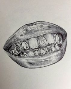 a pencil drawing of an open mouth with teeth and gums on the upper part