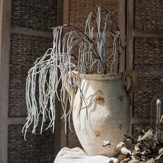 an old vase with some plants in it on a table next to rocks and shells