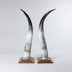 two horns on wooden bases with white and black paint in the middle, against a gray background