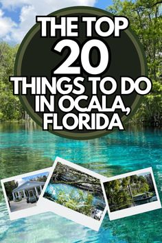 the top 20 things to do in ocalaa, florida