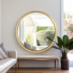 a living room with a couch, mirror and potted plant