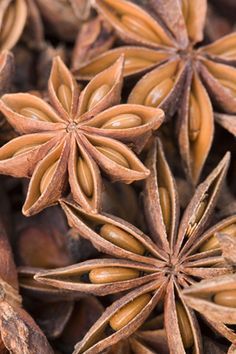 star anisets are shown in close up on top of other nuts and seeds