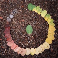 the word circle of life written in white letters surrounded by leaves and mulchs