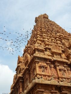 many birds are flying in the sky above a tall building that has carvings on it