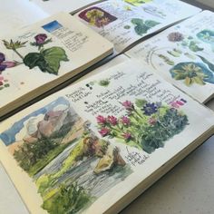 four notebooks with watercolor drawings on them sitting on a table next to each other