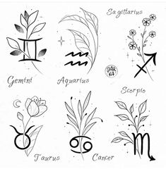 the zodiac signs and their meanings are drawn in black ink on a white paper background